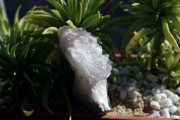 Cuarzo (variedad amatista)
(Autor: Juan C. Agua)
