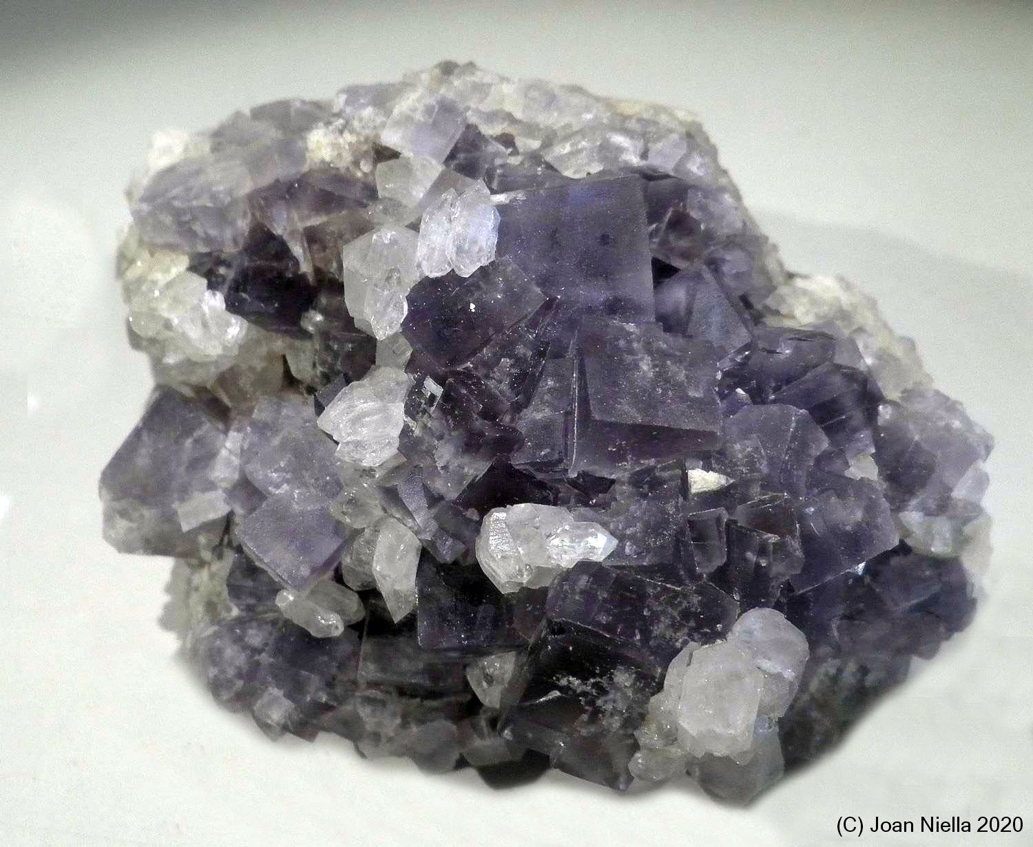 Fluorita
75x60 mm
(Autor: Joan Niella)