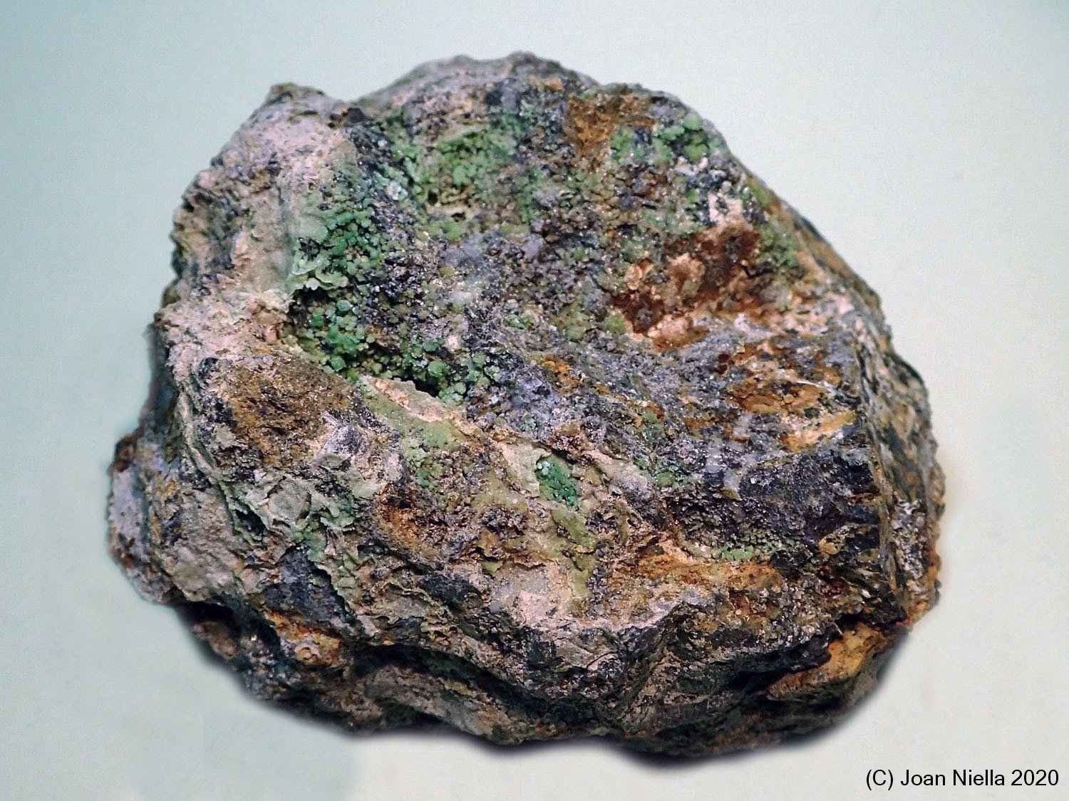 Montgomeryita
60x50 mm
(Autor: Joan Niella)
