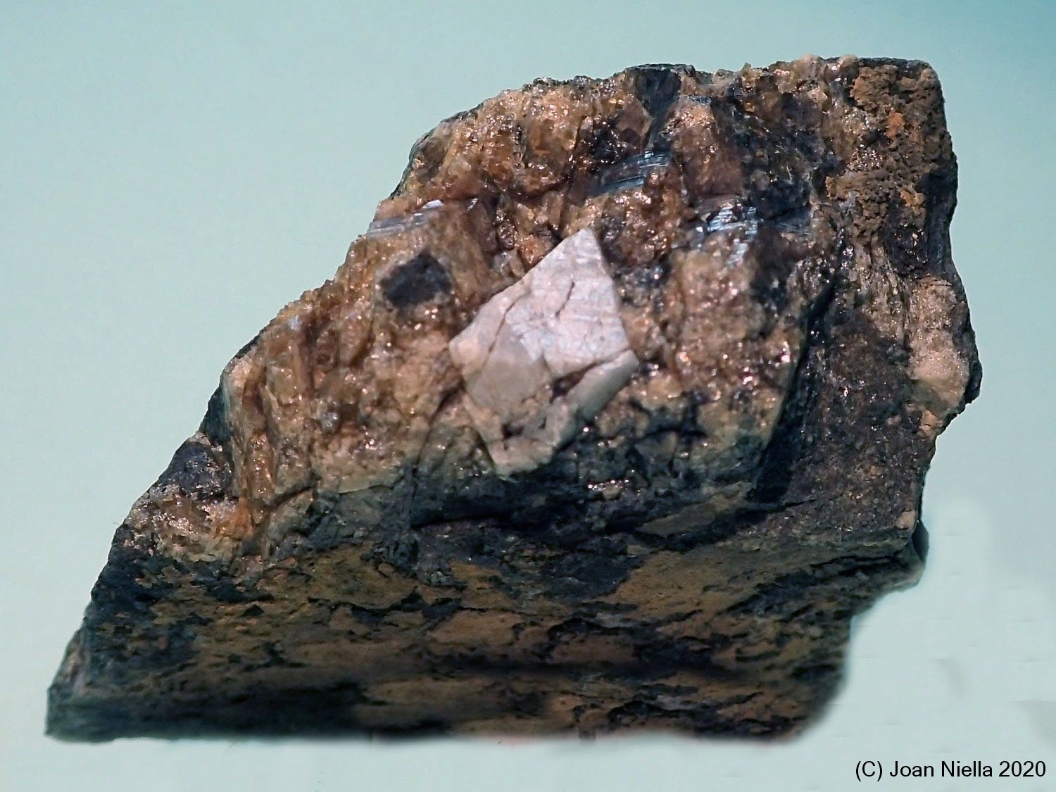 Scheelita
30x18 mm
(Autor: Joan Niella)