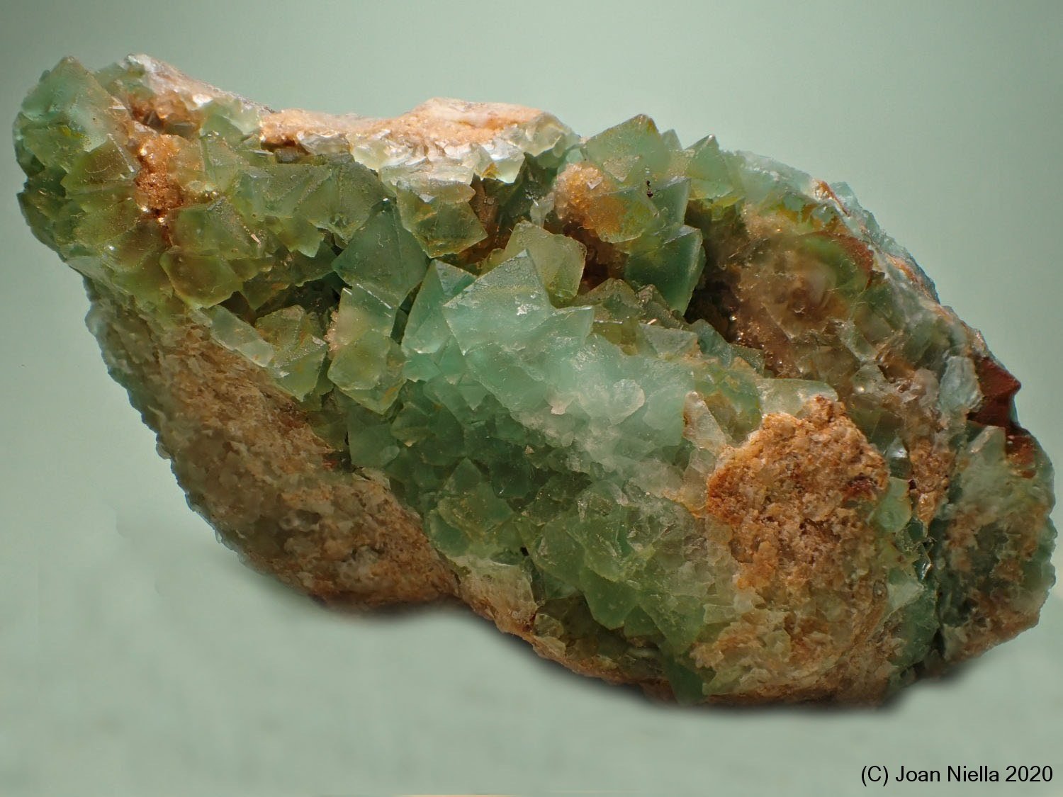 Fluorita
115 x 65 mm
(Autor: Joan Niella)