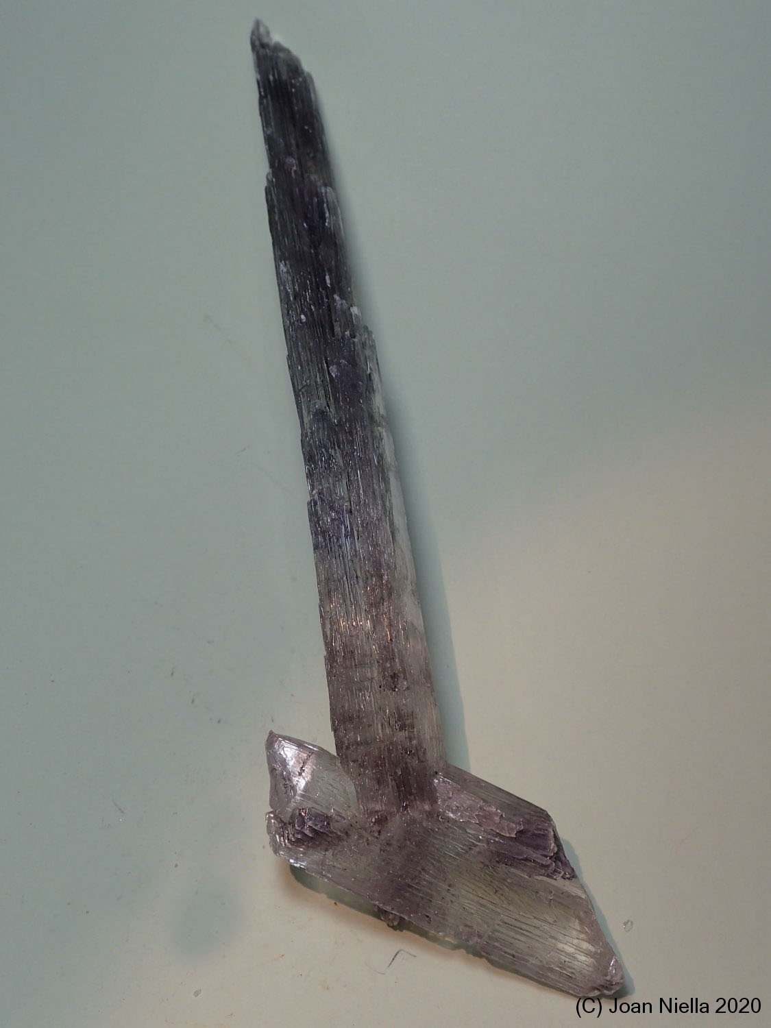 Yeso
18 x 5 cm
(Autor: Joan Niella)