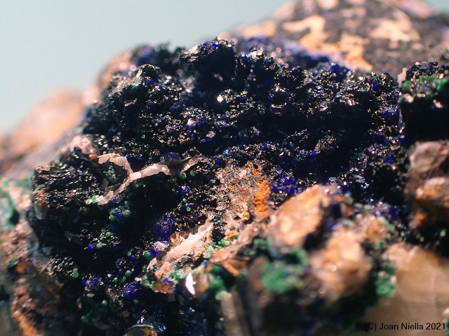 Azurita
CV 1,5x1 cm
(Autor: Joan Niella)