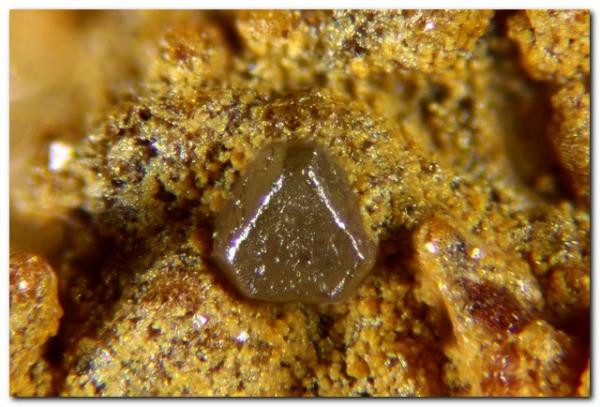 Clorargirita.
Cristal de 0,25mm
(Autor: Rafa Muñoz(mineralvarado))