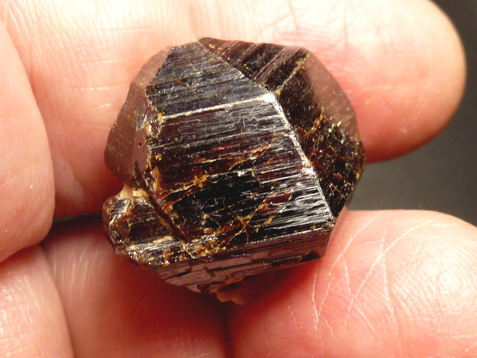 Rutilo
2 x 2 cm.
(Autor: javier ruiz martin)