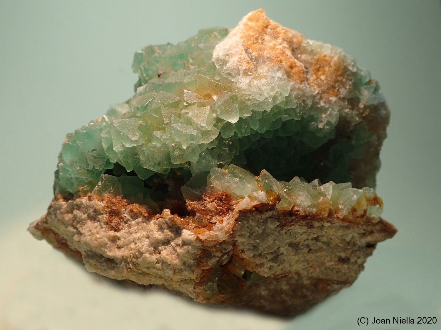 Fluorita
10 x 7 cm
(Autor: Joan Niella)