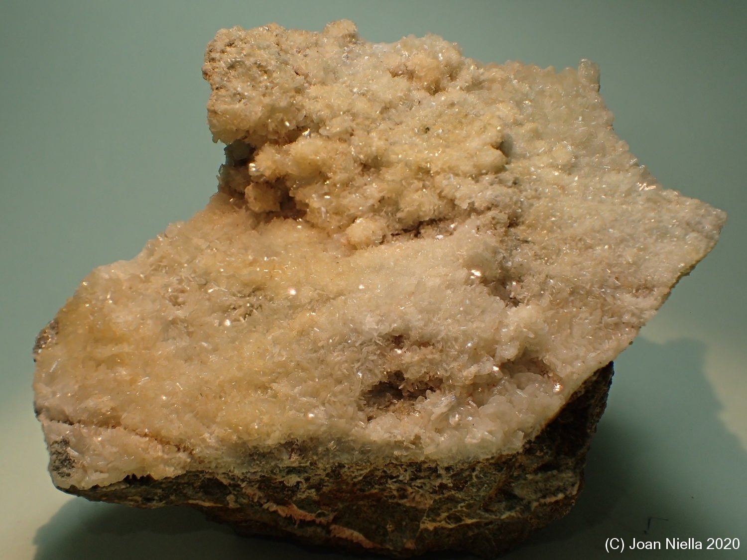 Prehnita
90 x 65 mm
(Autor: Joan Niella)