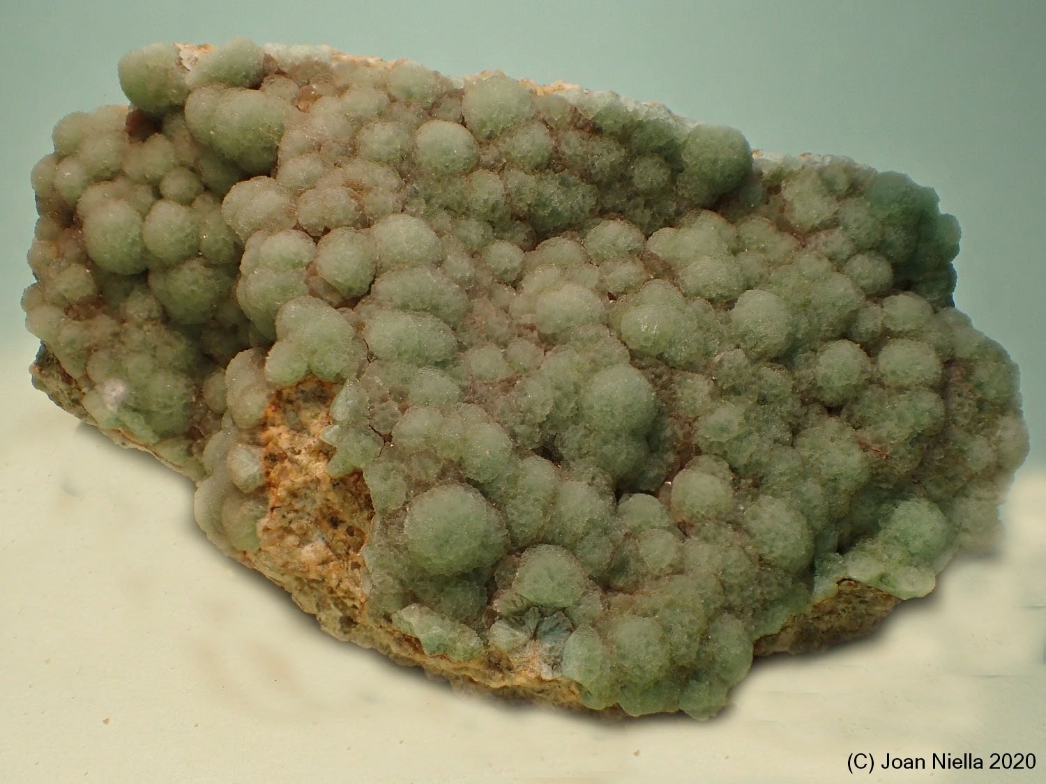 Fluorita
85 x 45 mm
(Autor: Joan Niella)