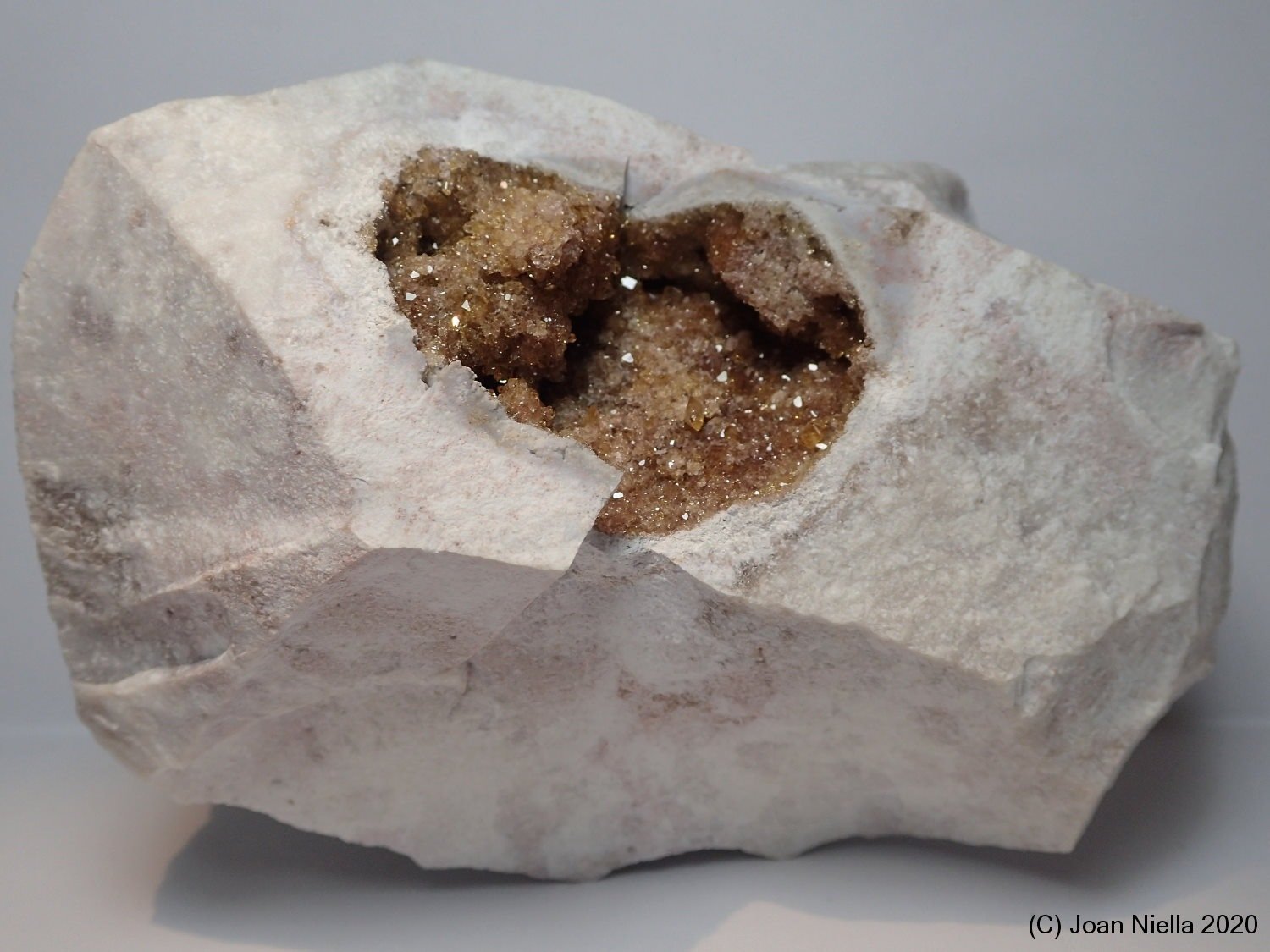 Celestina
12 x 7 cm
(Autor: Joan Niella)