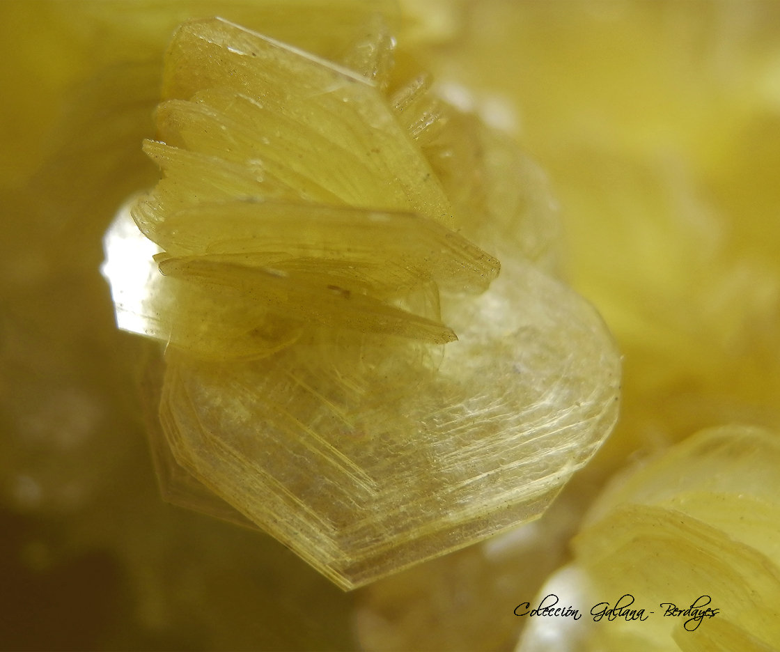 Lepidolita
Encuadre de la fotografía 11 mm.
(Autor: Rafael Galiana)
