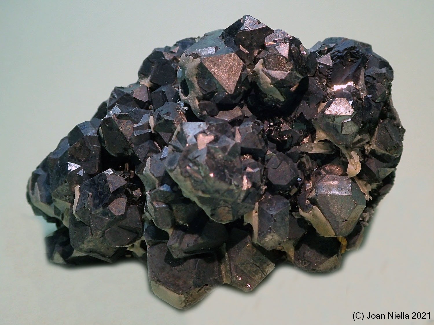 Galena
70x45 mm
(Autor: Joan Niella)
