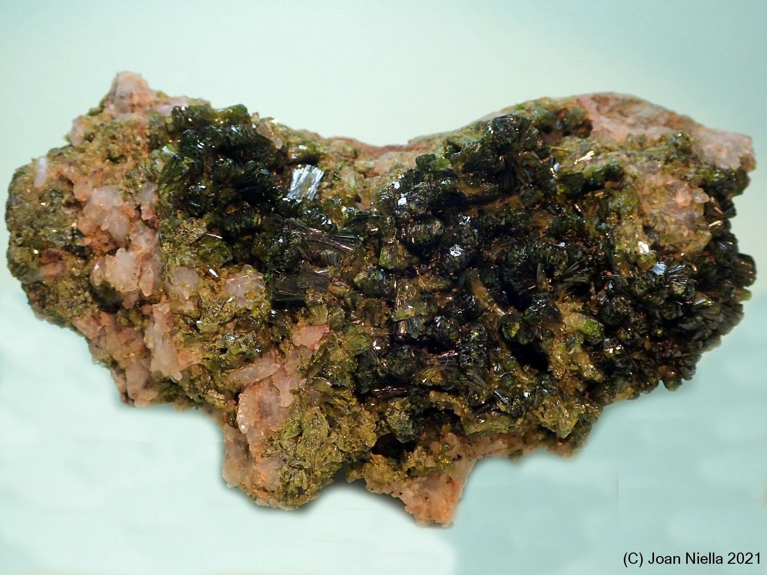 Epidota
85x55 mm
(Autor: Joan Niella)