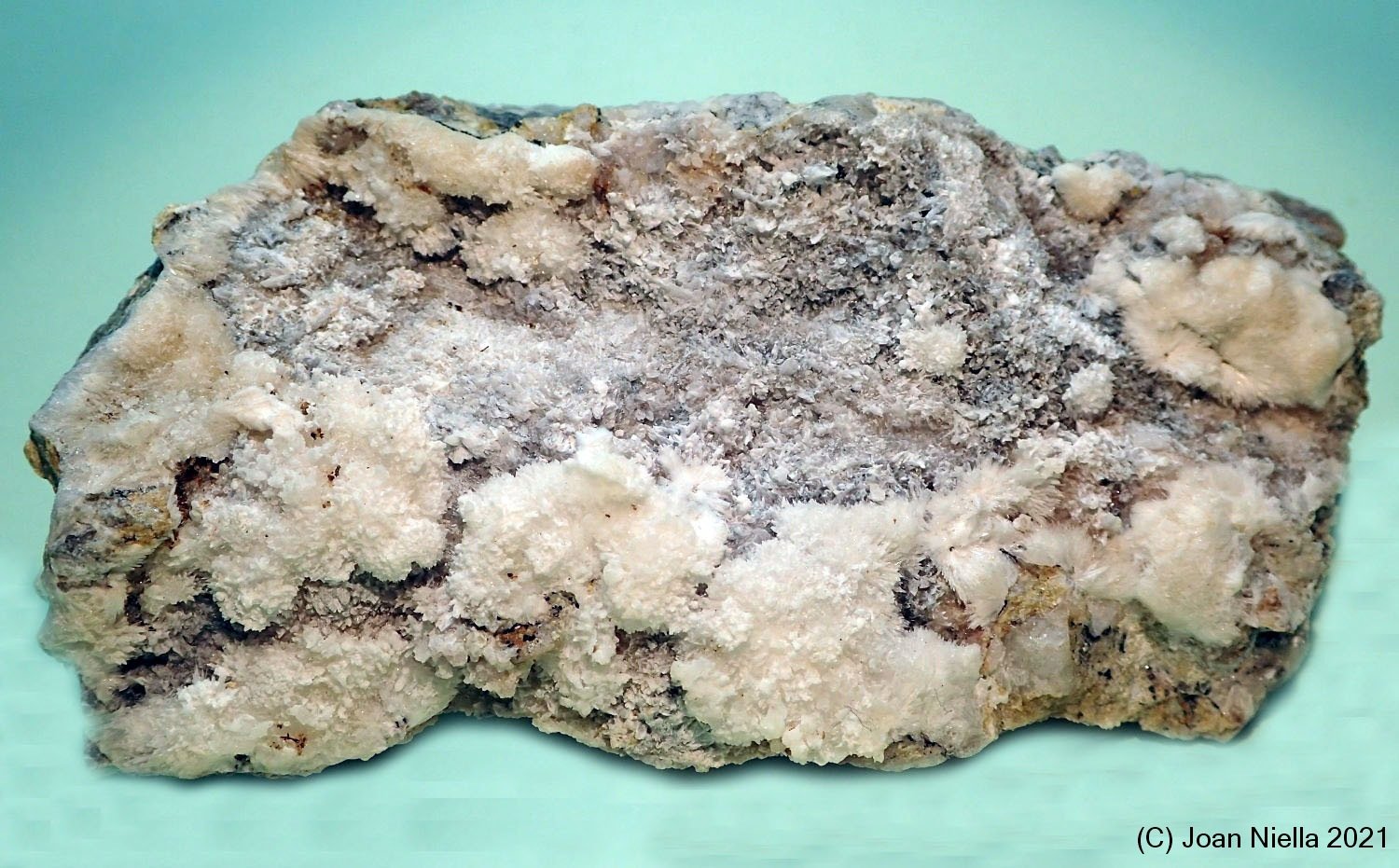 Aragonito
85x45 mm
(Autor: Joan Niella)