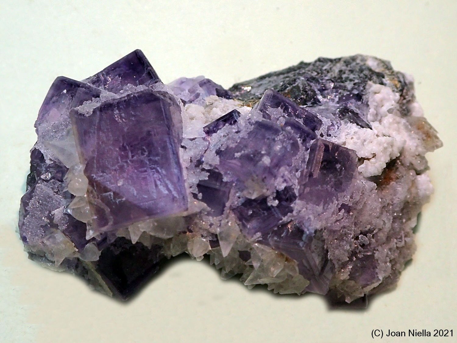 Fluorita
45 x 35 mm
(Autor: Joan Niella)