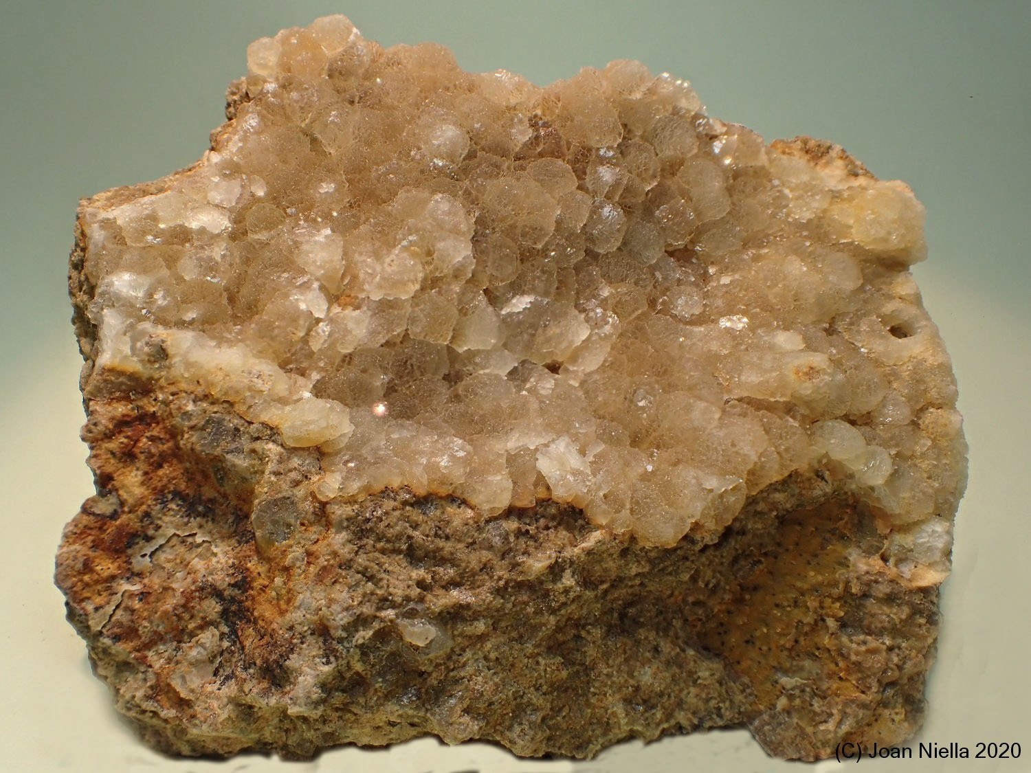 Fluorita
85 x 70 mm
(Autor: Joan Niella)