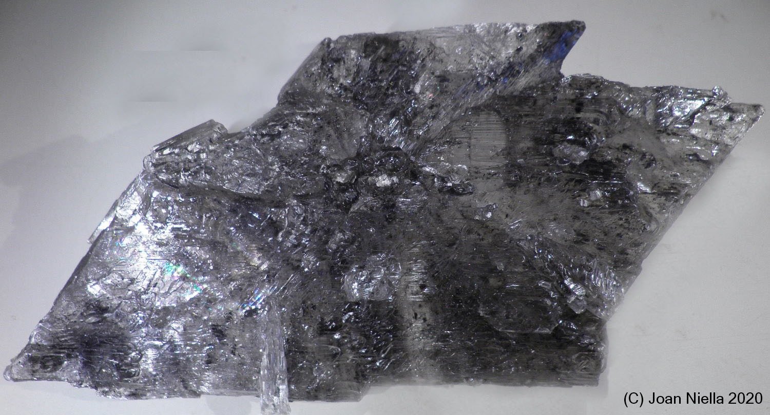 Yeso
140 x 65 mm
(Autor: Joan Niella)