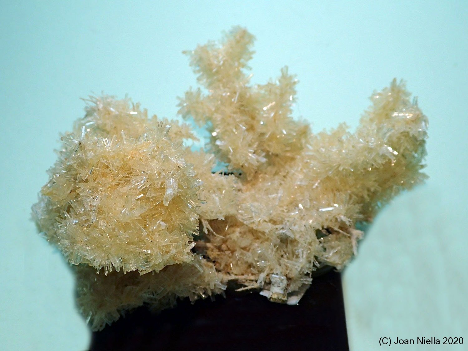 Yeso
75x45 mm
(Autor: Joan Niella)