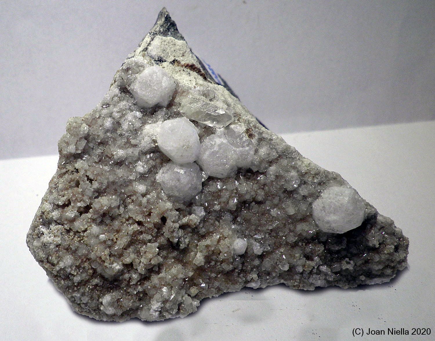 Analcima
6 x 4 cm
(Autor: Joan Niella)