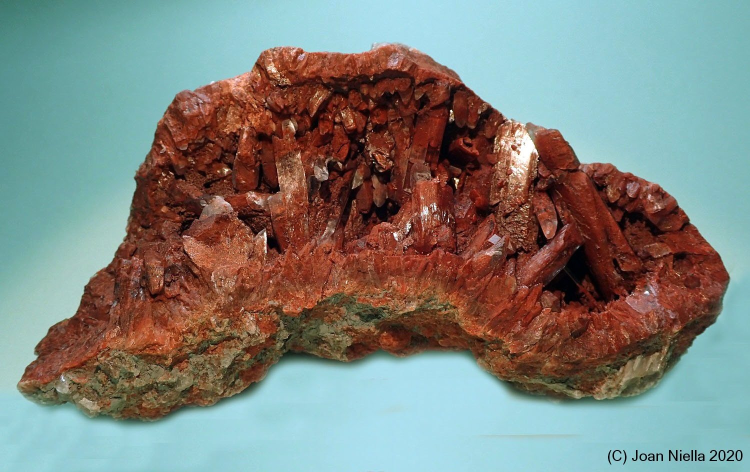 Yeso
120x60 mm
(Autor: Joan Niella)
