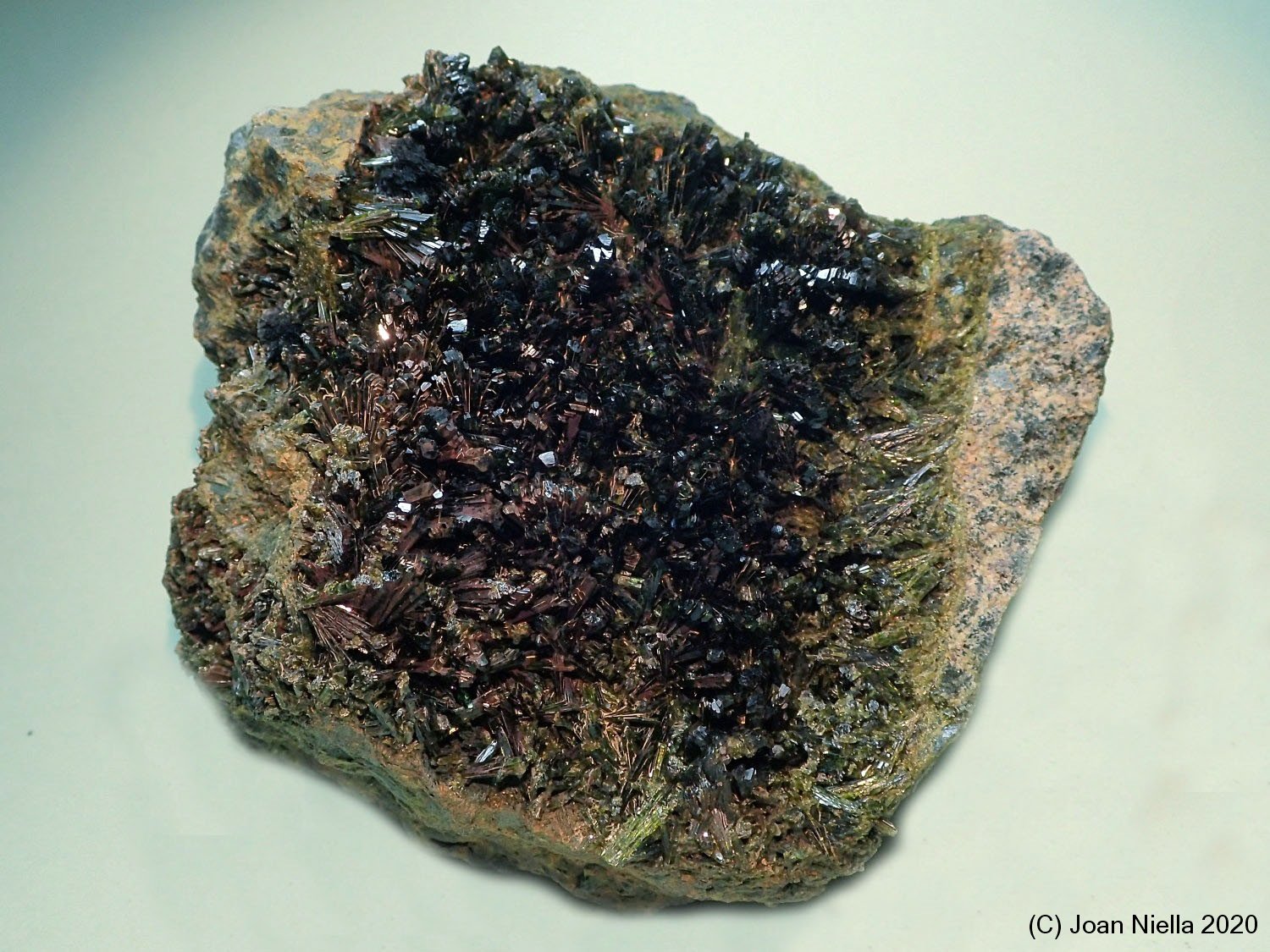 Epidota
80x75mm
(Autor: Joan Niella)