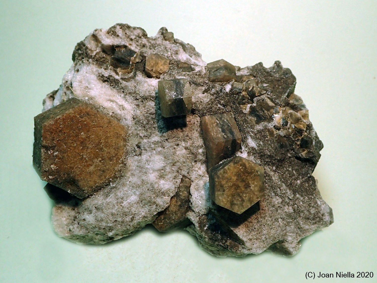Magnesita (variedad pistomesita)
70x60 mm
(Autor: Joan Niella)