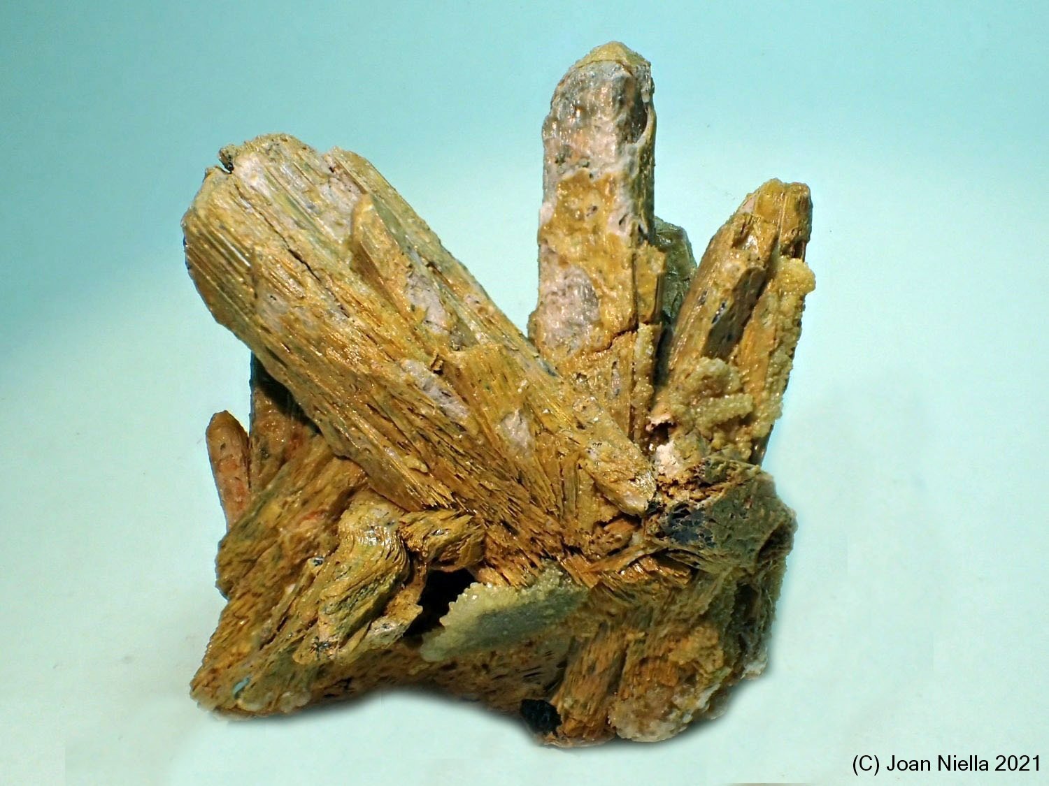 Estibiconita
50x50 mm
(Autor: Joan Niella)