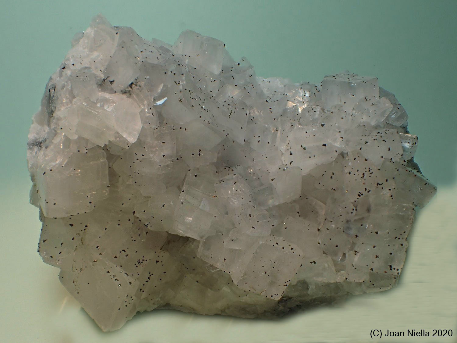 Dolomita
7 x 4 cm
(Autor: Joan Niella)