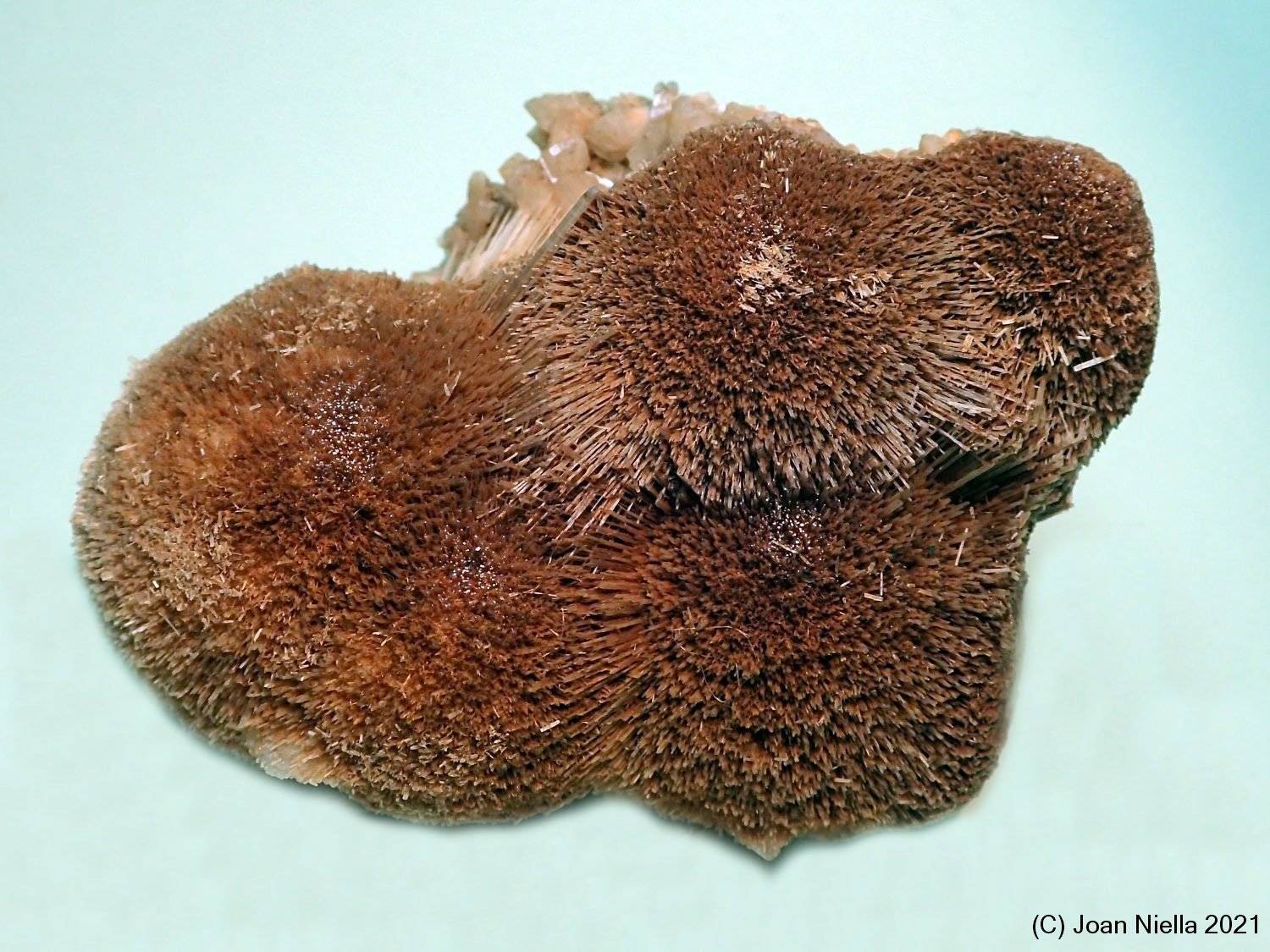 Mesolita
75x55 mm
(Autor: Joan Niella)