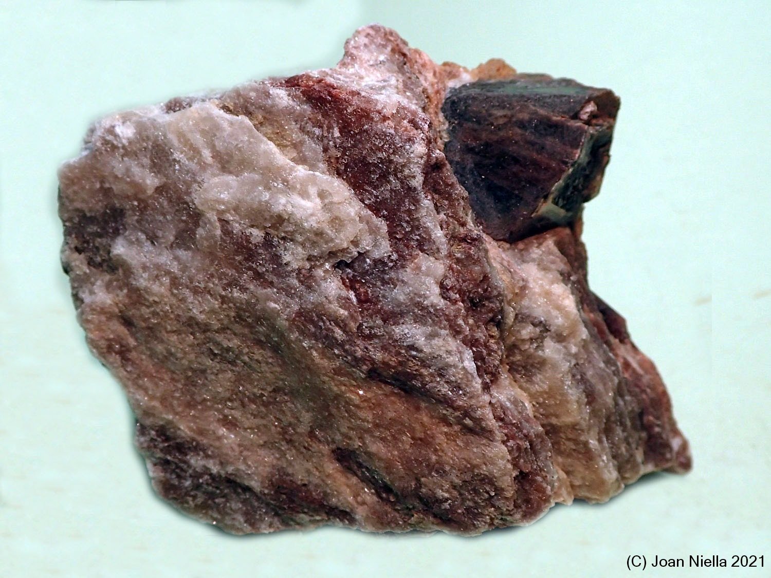 Dolomita (variedad teruelita)
75x60 mm
(Autor: Joan Niella)