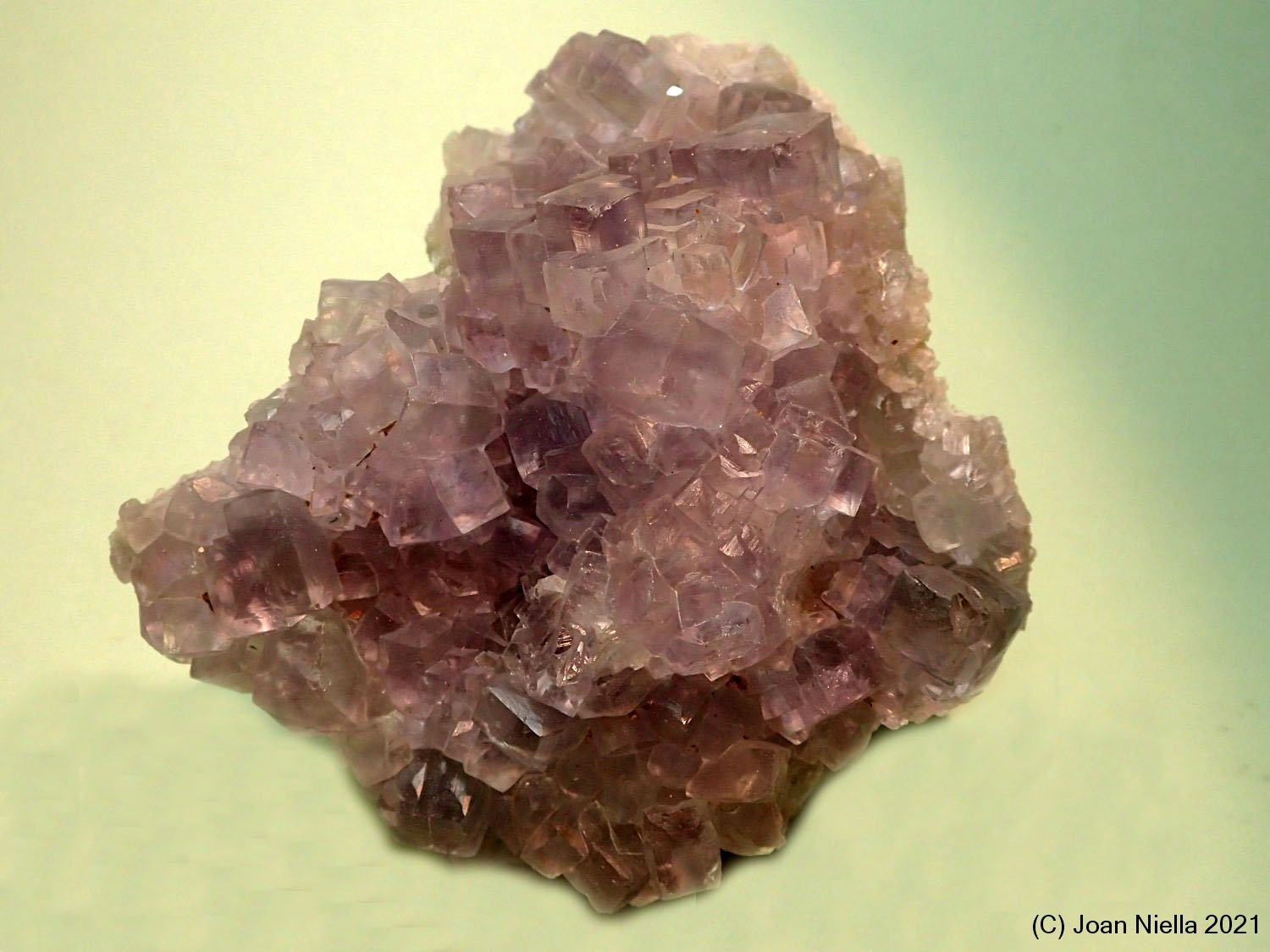 Fluorita
65x60 mm
(Autor: Joan Niella)