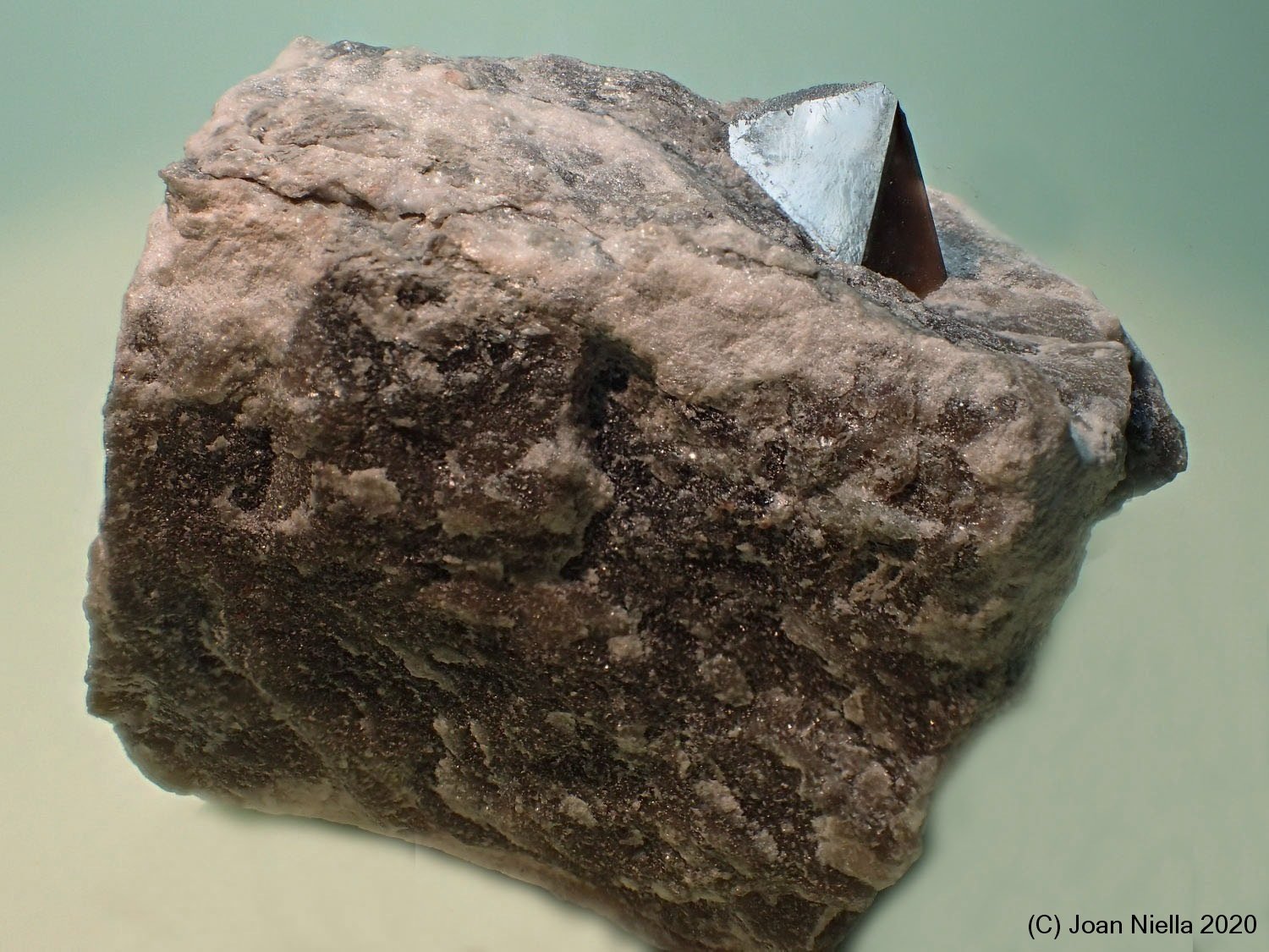 Dolomita (variedad teruelita)
6 x 4 cm
(Autor: Joan Niella)