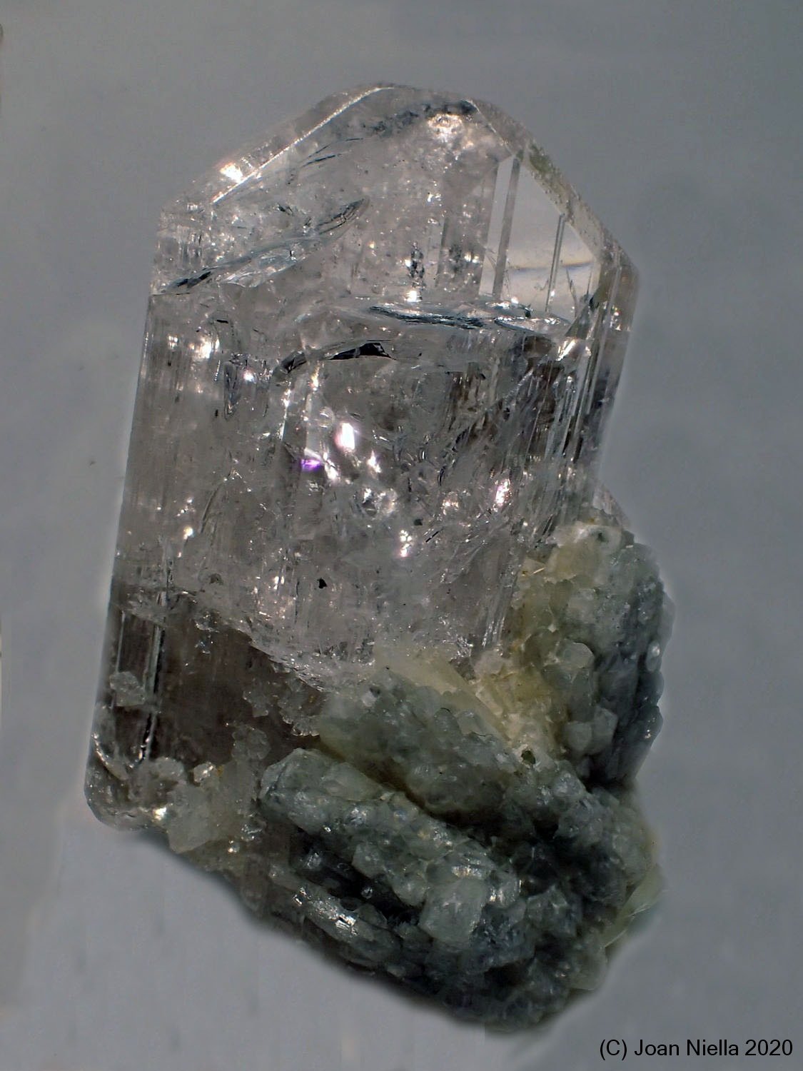 Danburita
25 x 15 mm
(Autor: Joan Niella)