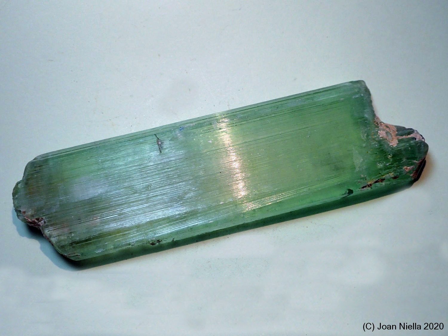 Espodumena (variedad hiddenita)
120 x 35 mm
(Autor: Joan Niella)
