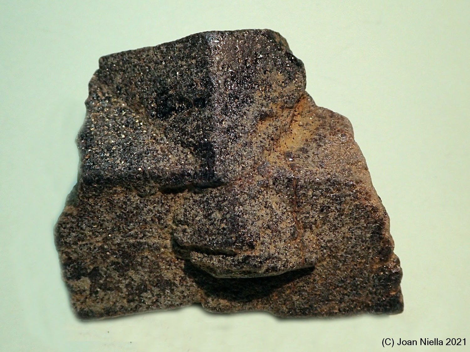 Estaurolita
50x40 mm
(Autor: Joan Niella)
