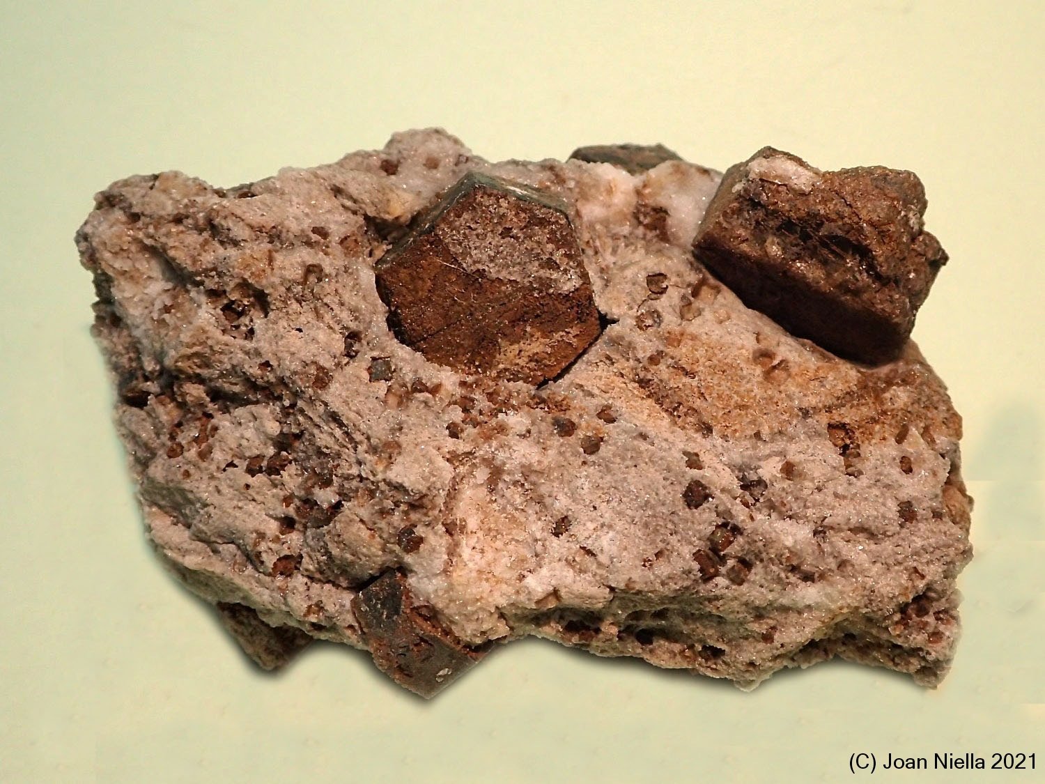 Magnesita (variedad pistomesita)
55x40 mm
(Autor: Joan Niella)