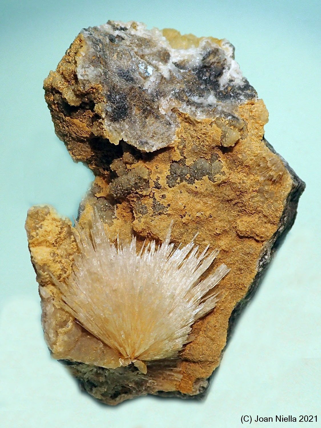 Aragonito
75x45 mm
(Autor: Joan Niella)