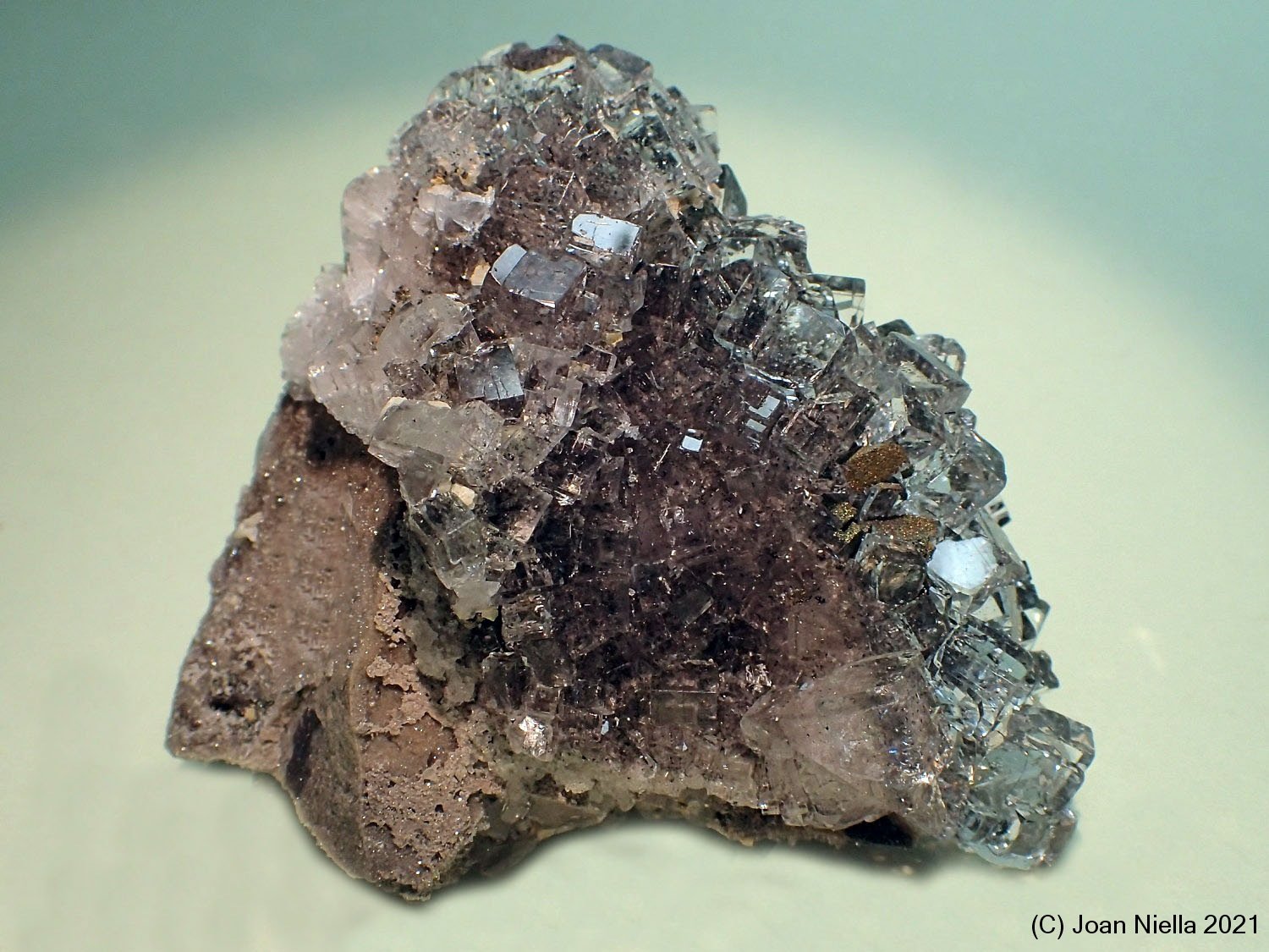 Fluorita
65x45 mm
(Autor: Joan Niella)