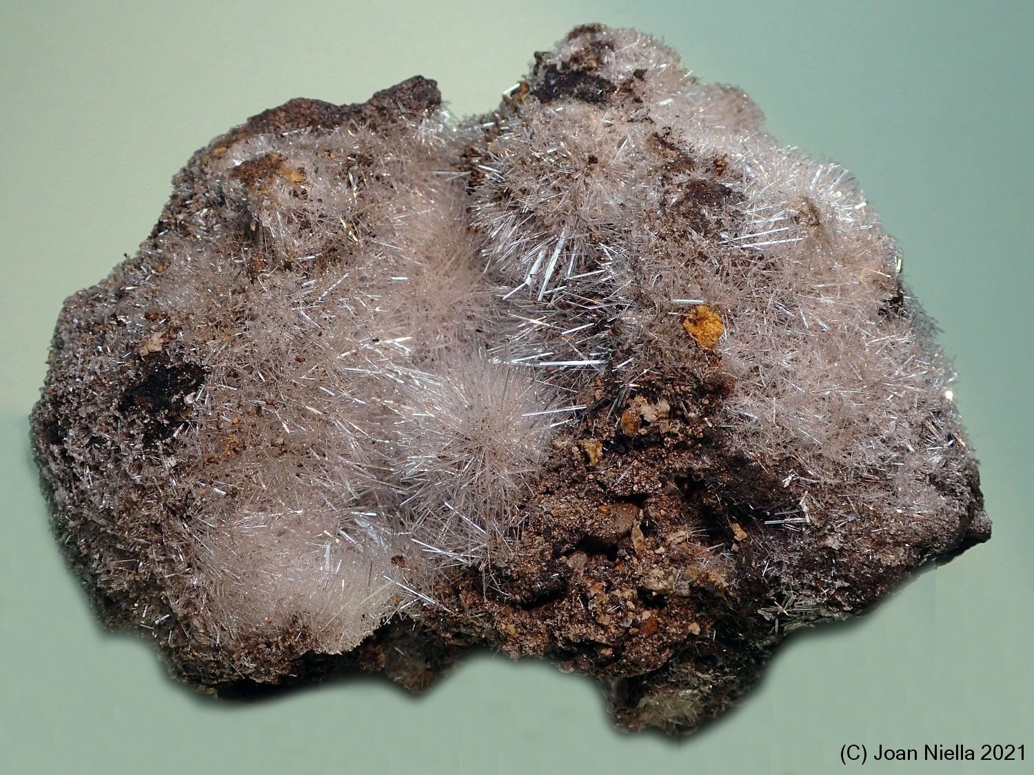 Yeso
100x80 mm
(Autor: Joan Niella)