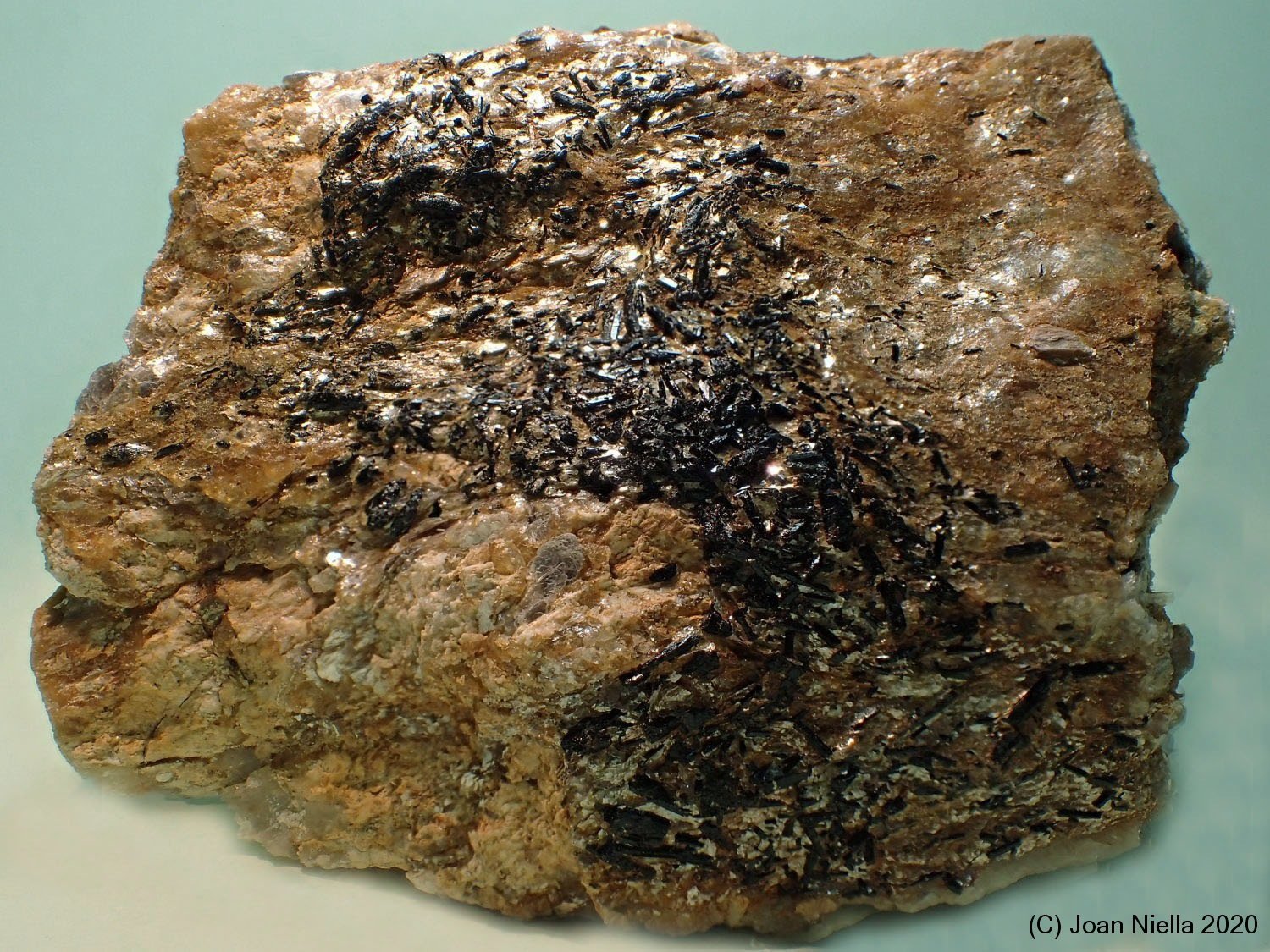 Estaurolita
9 x 7 cm
(Autor: Joan Niella)