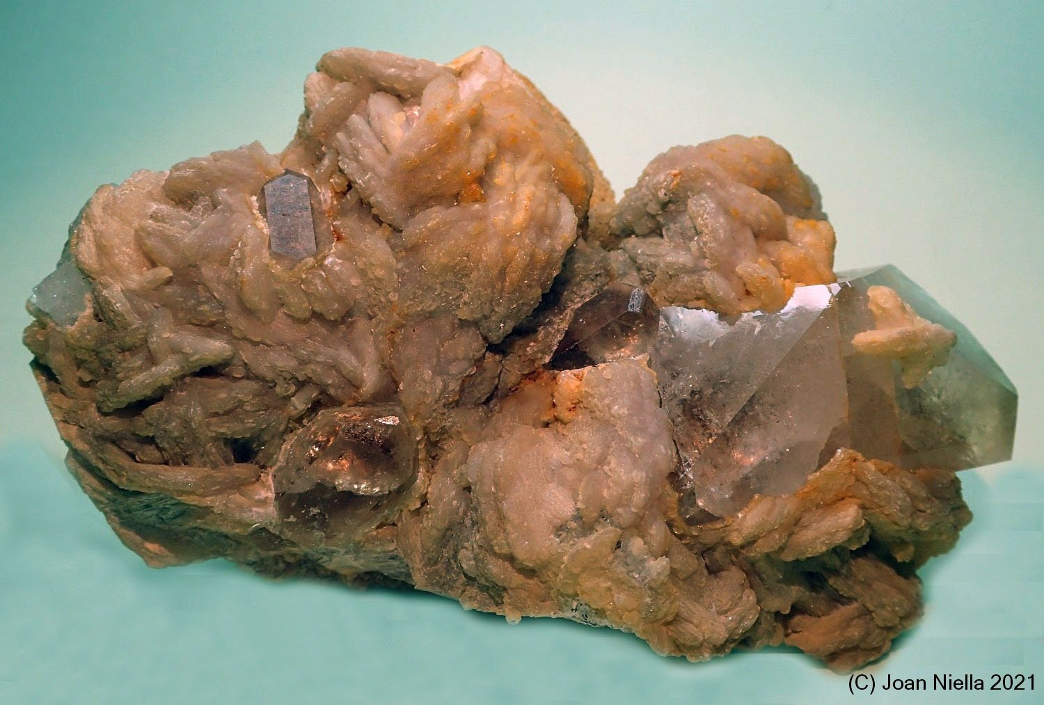 Topacio
95x60 mm
(Autor: Joan Niella)
