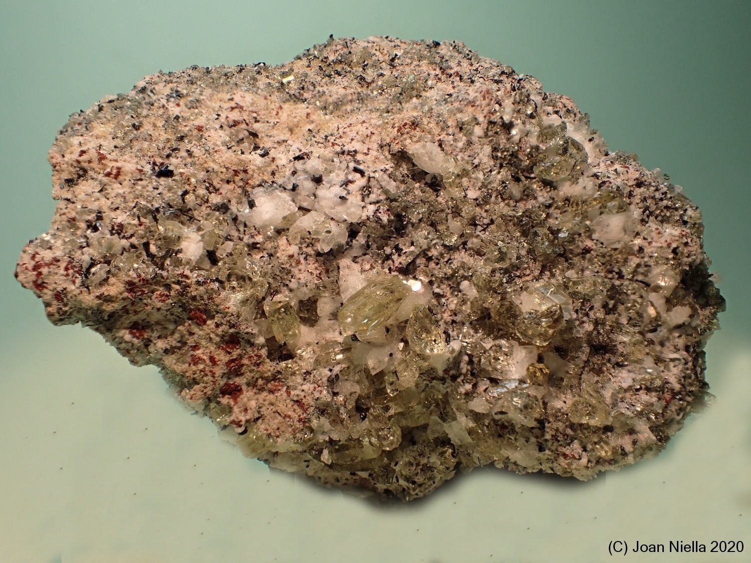 Fluorapatito
5 x 4 cm
(Autor: Joan Niella)