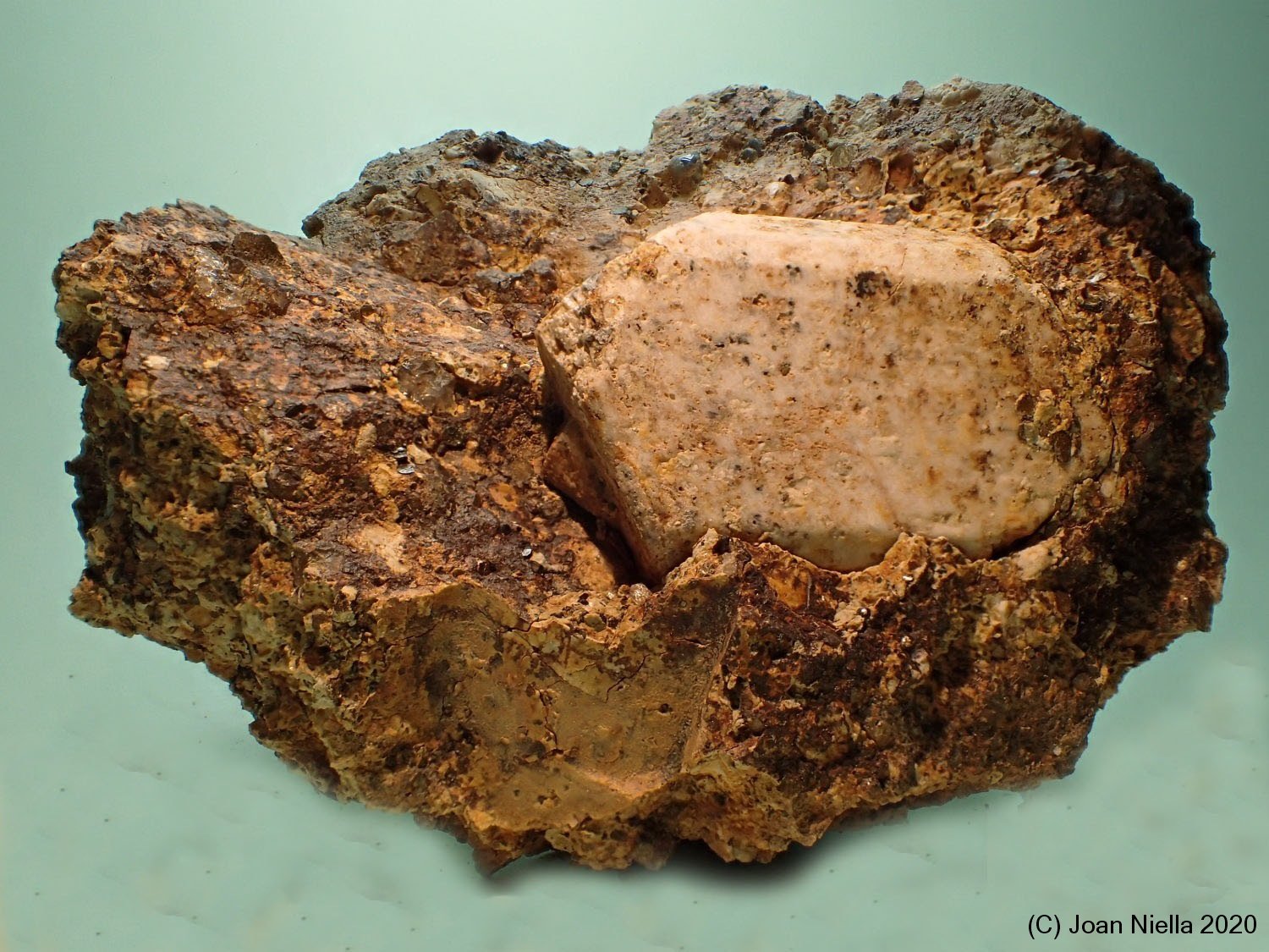 Ortoclasa
80 x 55 mm
(Autor: Joan Niella)