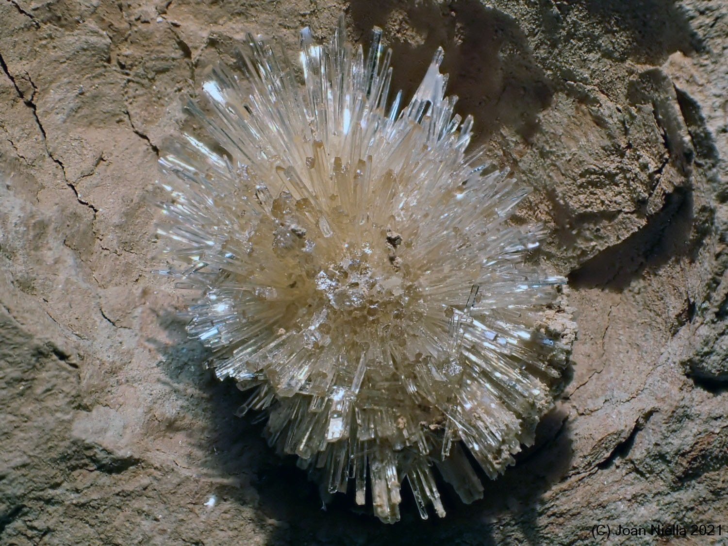 Aragonito
CV 3 x 2 cm
(Autor: Joan Niella)