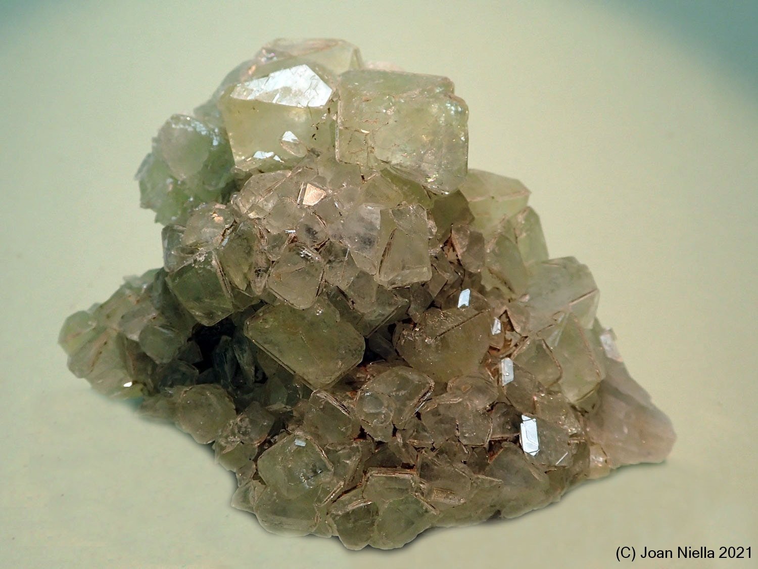 Datolita
65x45 mm
(Autor: Joan Niella)