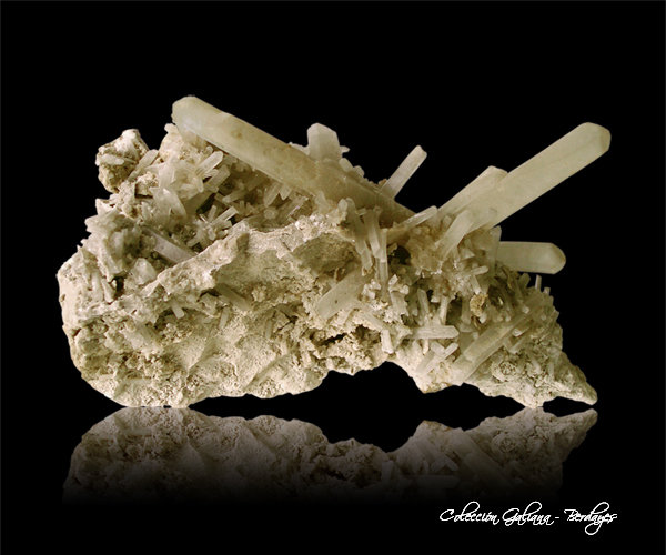 Celestina
147 x 77 x 91 cm.
(Autor: Rafael Galiana)