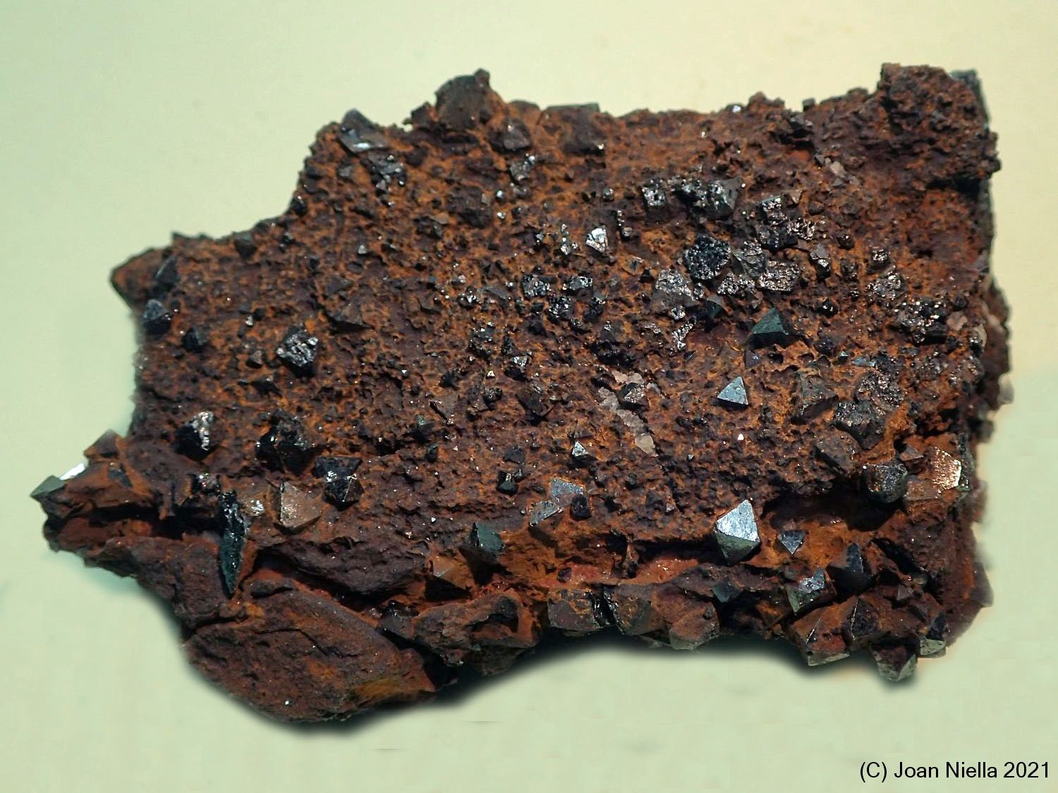 Magnetita
70x50 mm
(Autor: Joan Niella)