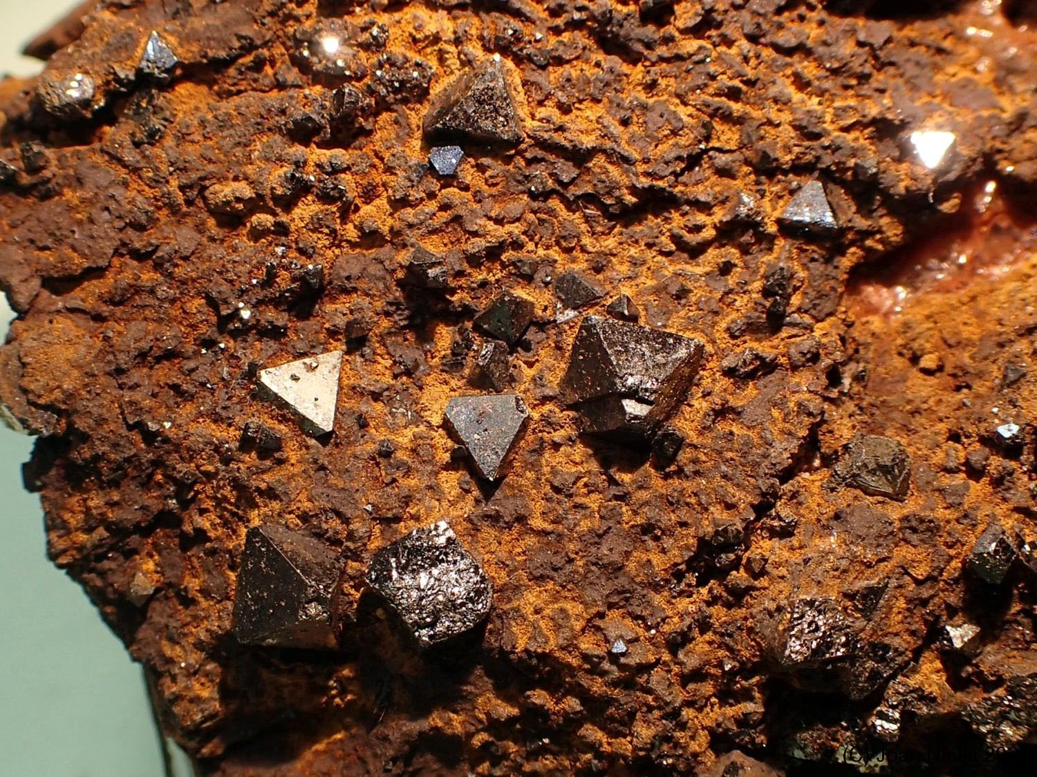 Magnetita
CV 3x2 cm
(Autor: Joan Niella)
