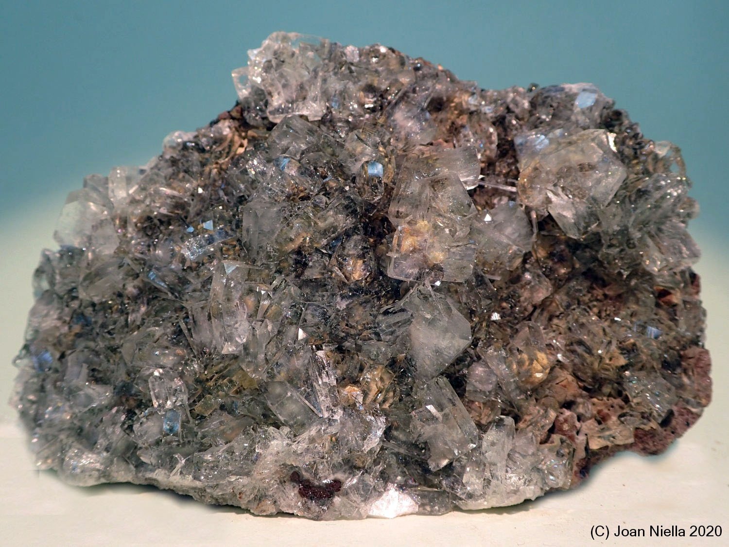 Fluorapophyllita-(K) (Apofilita)
11 x 7 cm
(Autor: Joan Niella)