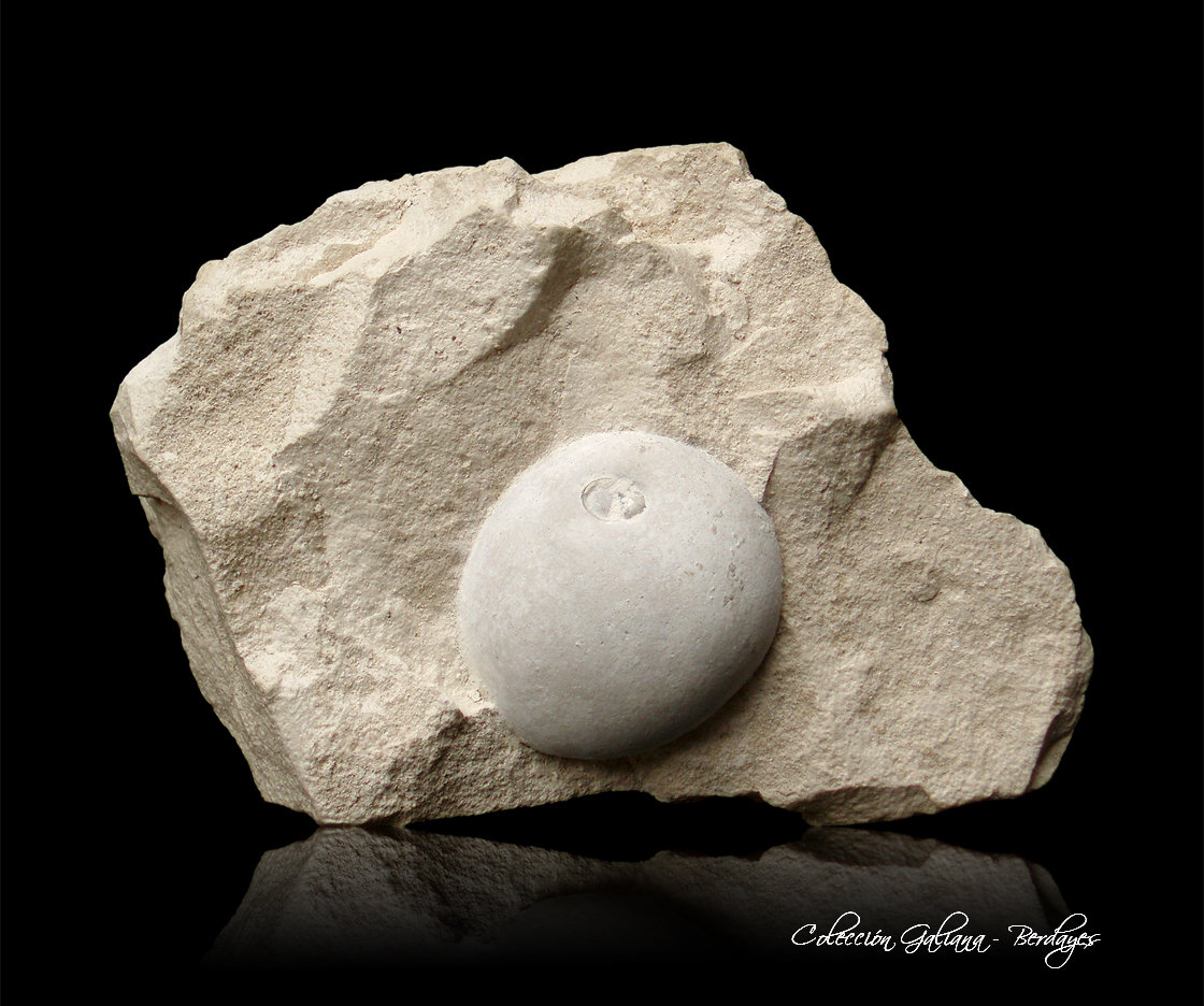 Ópalo (variedad menilito)
80 x 57 x 36 mm
(Autor: Rafael Galiana)
