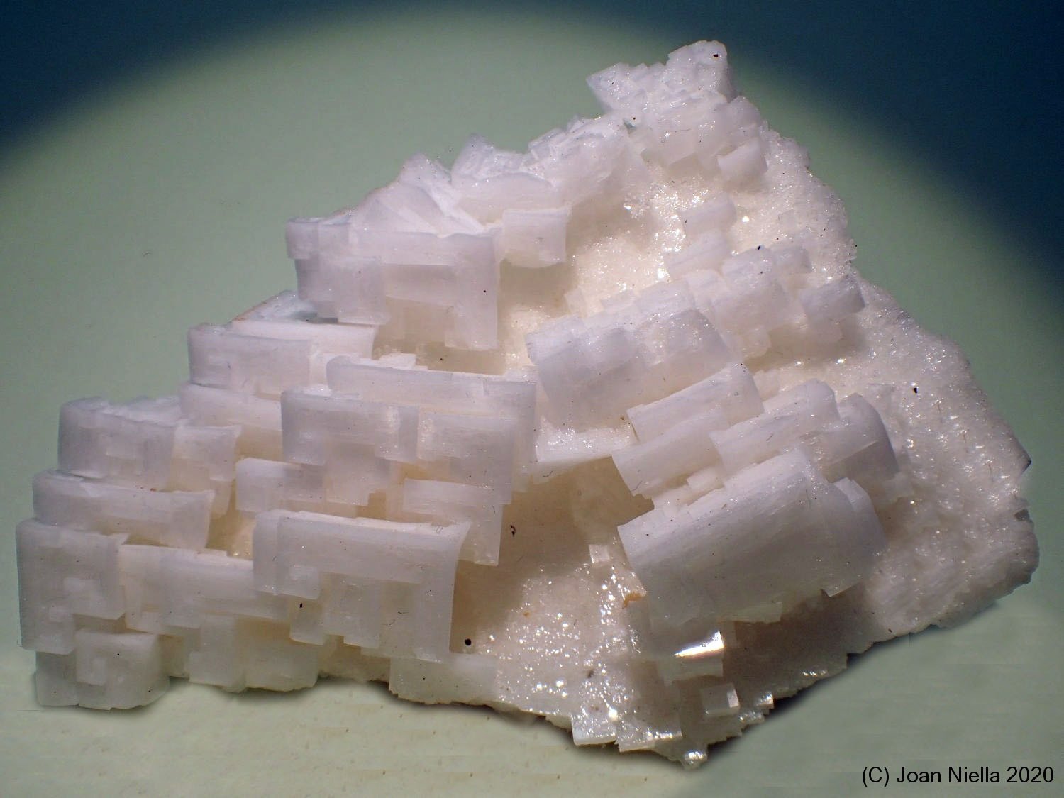 Halita
9 x 8 cm
(Autor: Joan Niella)